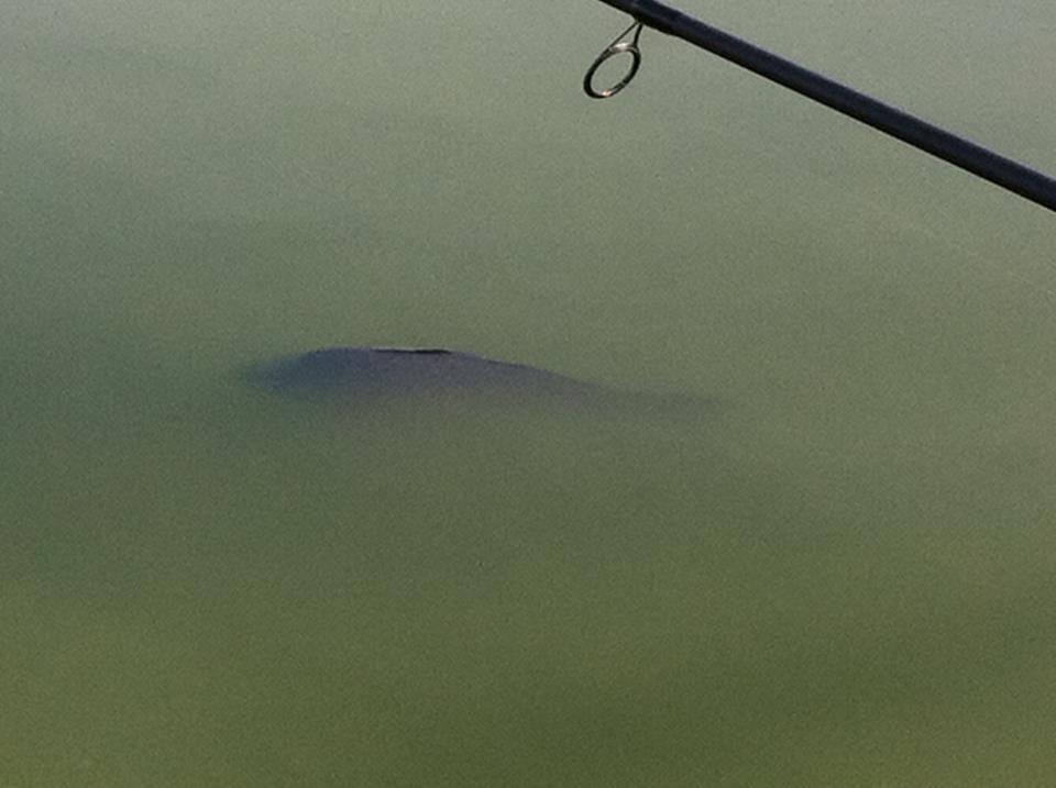 PLEASA 13.04.2013 - 5336104855372915018821055226252n.jpg